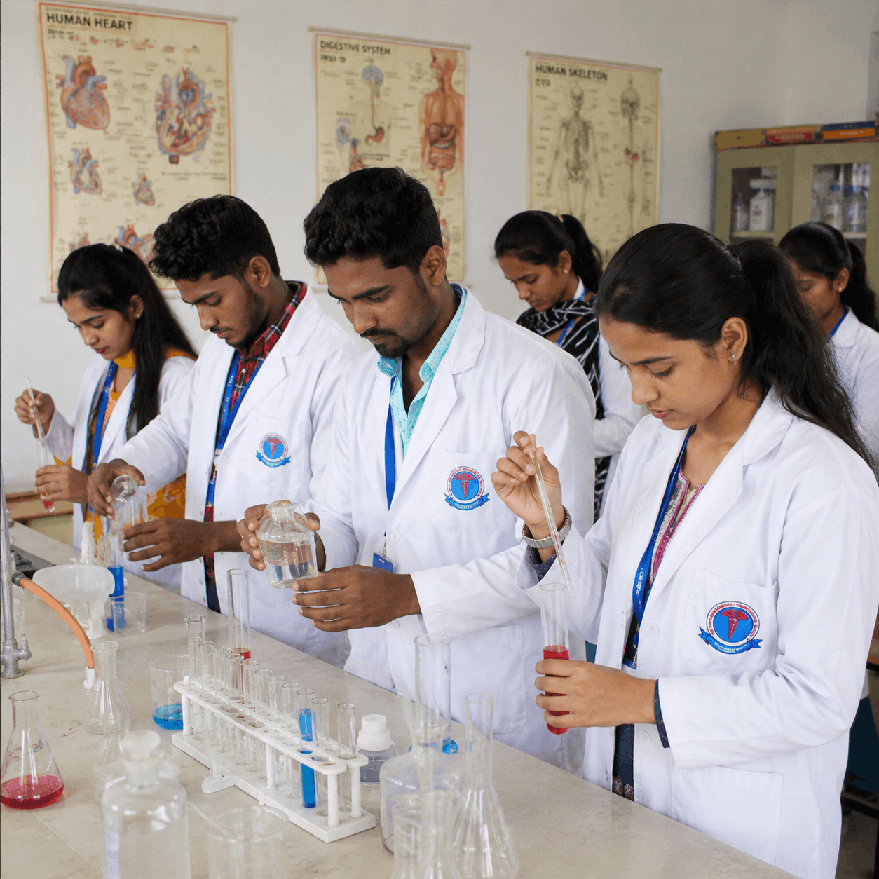 lab